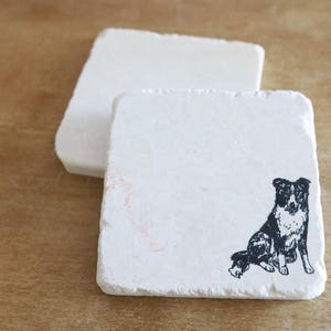 May include: Two square, off-white stone coasters. One coaster features a black and white illustration of a Border Collie dog. The second coaster is plain. These coasters are ideal for protecting surfaces from drink rings.