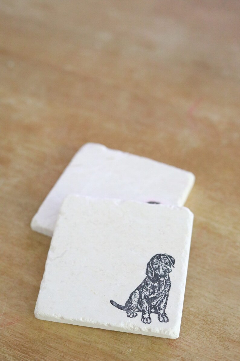 Labrador Coasters Brown Lab Marble Coasters/ Black Lab Marble Coasters/ Labrador Retriver ...