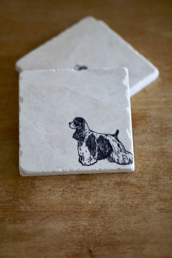 Una casa no es un hogar sin una Cocker Spaniel-Bebidas Posavasos