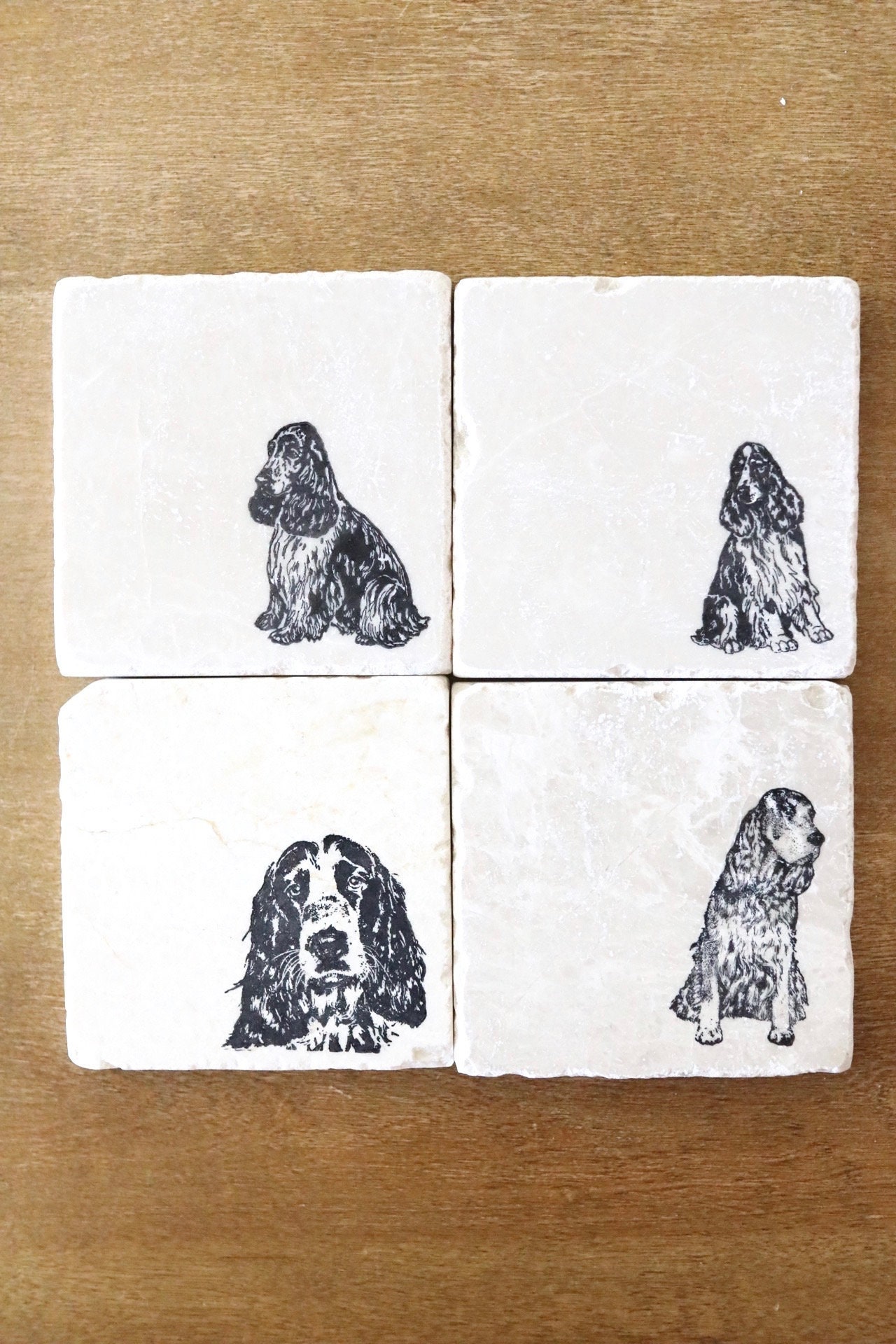 English Springer Spaniel Coaster Set/ Gift/ Marble Coaster Set