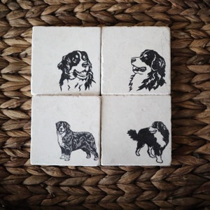 May include: Set of four white ceramic coasters with black silhouette images of Bernese Mountain Dogs. Each coaster features a different pose of the dog.
