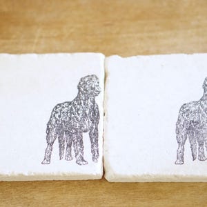 May include: Two square, off-white coasters with a textured surface. Each coaster features a detailed, black and white illustration of a dog. The dog is depicted in a standing pose, with its head turned to the side.