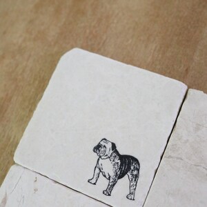 Dogs British Bulldog Single Moulded Coaster - View #3
