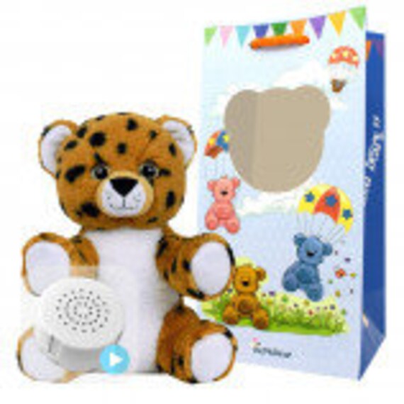 recordable teddy