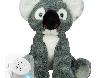 Kaya en peluche réenregistrable de 40 ou 60 secondes, le koala