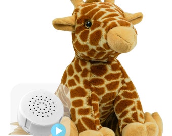 20 or 60 Second re-recordable 16 inch Plush Jerry Giraffe