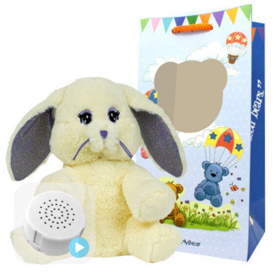 recordable teddy
