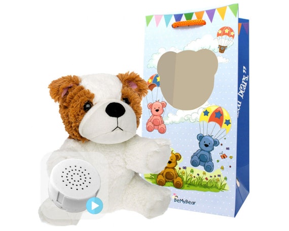 heartbeat teddy for puppy