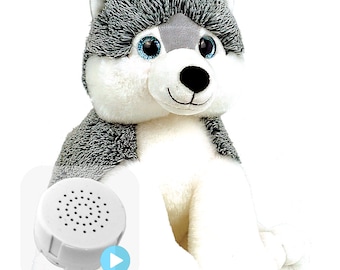 Perro Husky de peluche regrabable de 20 o 60 segundos de 16 pulgadas