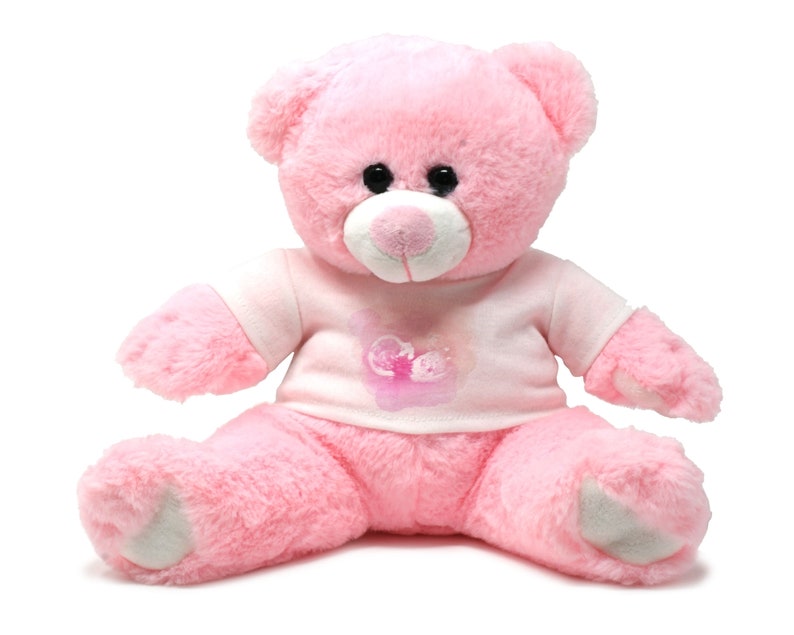 teddy bear with baby heartbeat