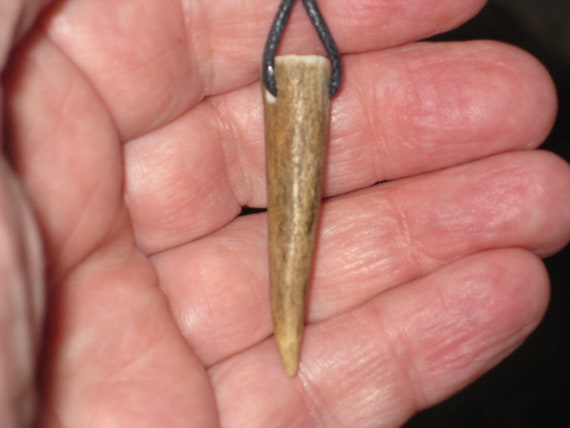 All natural deer antler tip, with adjustable necklace.