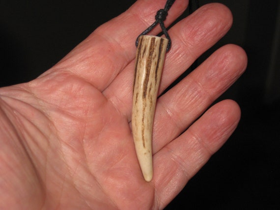 All natural deer antler tip, with adjustable necklace.