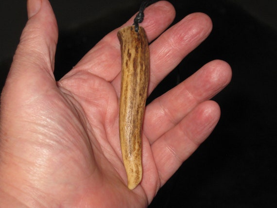 All natural deer antler tip, with adjustable necklace.
