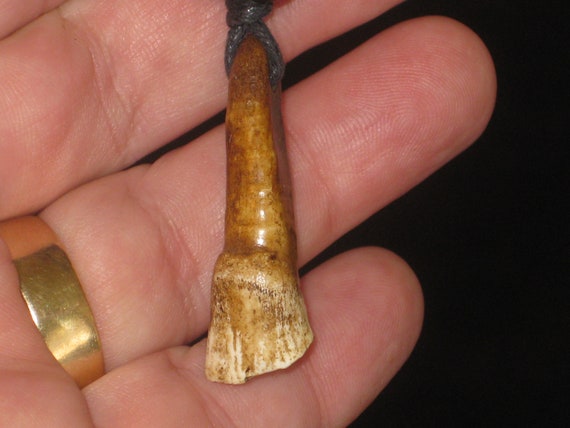 Real horse tooth surfers necklace, adjustable.