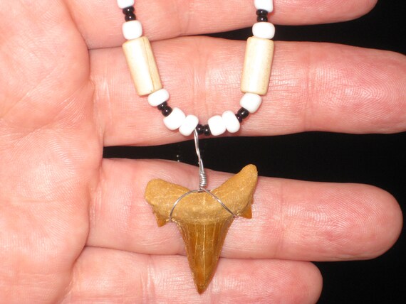 Real Fossil shark tooth necklace, from Morocco.