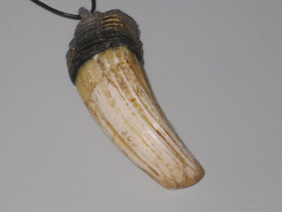 All natural boars tooth pendant, with adjustable necklace.