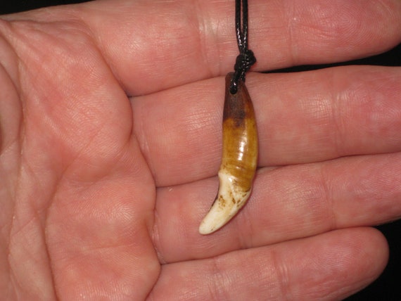 Real wolf tooth surfers necklace, adjustable.