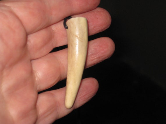 All natural deer antler tip, with adjustable necklace.
