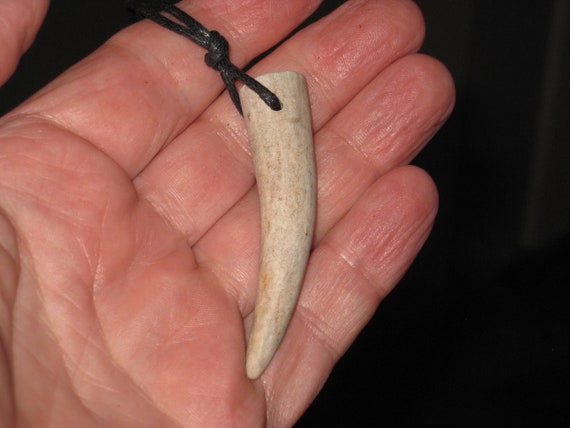 All natural deer antler tip, with adjustable necklace.