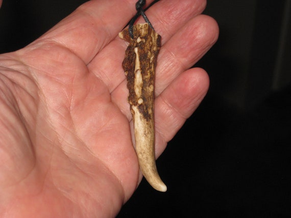 All natural deer antler tip, with adjustable necklace.