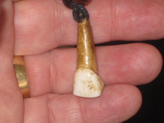 Real horse tooth surfers necklace, adjustable.