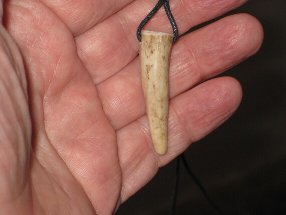 All natural deer antler tip, with adjustable necklace.