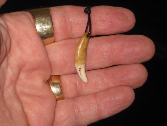 Real wolf tooth surfer necklaces, adjustable.