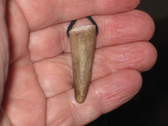 All natural deer antler tip, with adjustable necklace.