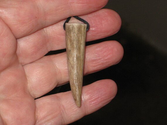 All natural deer antler tip, with adjustable necklace.