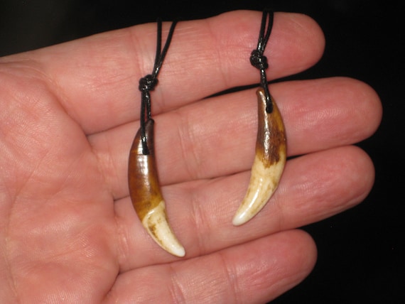 2 Real wolf tooth surfer necklaces, adjustable.