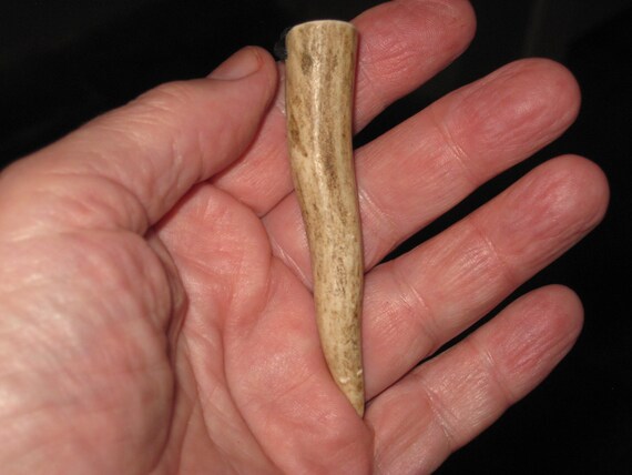 All natural deer antler tip, with adjustable necklace.