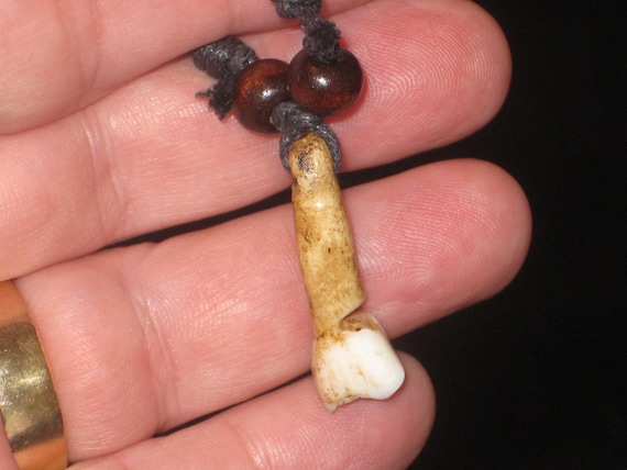 Real horse tooth surfers necklace, adjustable.