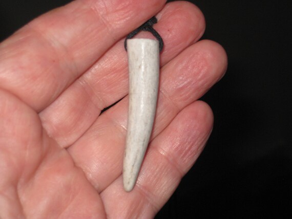 All natural deer antler tip, with adjustable necklace.