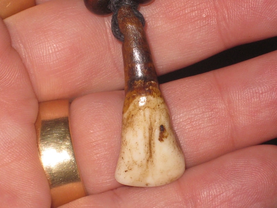 Real horse tooth surfers necklace, adjustable.