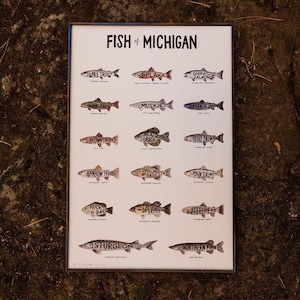 Fish of Michigan Watercolor Art Print