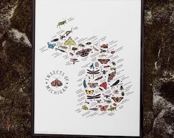 Insects of Michigan Watercolor Art Print