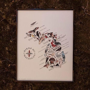 "Birds of garmigang ""Michigan"" Aquarell Kunstdruck"