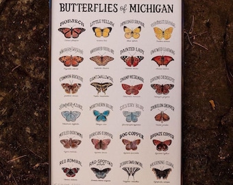 Butterflies of Michigan Watercolor Wall Art Print