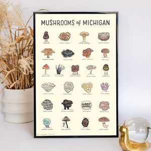 Mushrooms of Michigan Watercolor Wall Art Print