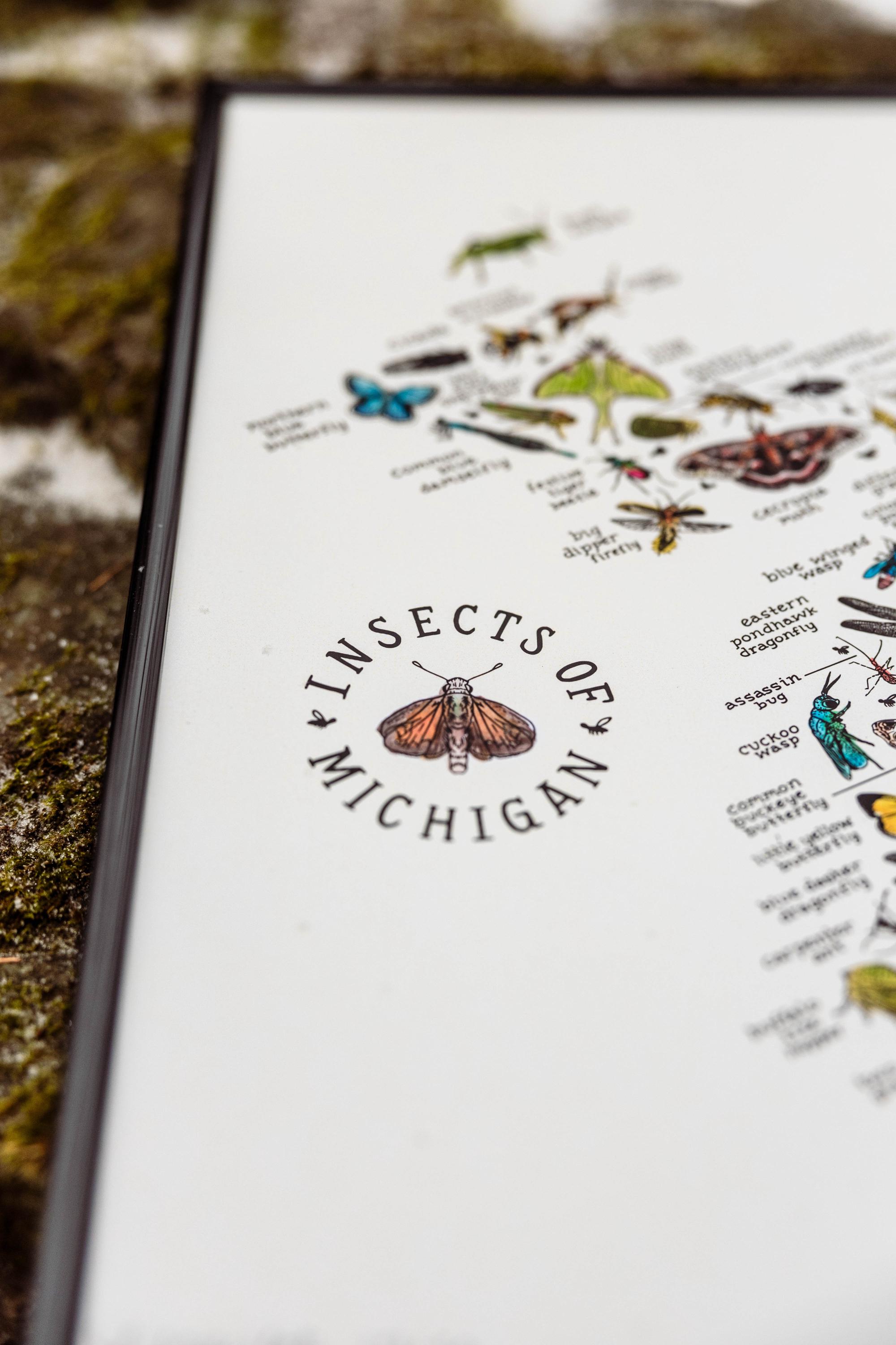 Mi Insects Insects of Michigan Watercolor Art Print - Etsy