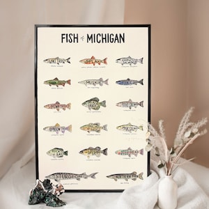 Fish Species Print 