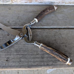 vintage MCM stag horn chrom Solingen stainless steel and antler 11" kitchen poultry shears scissors