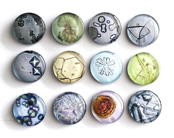 Veterinary Crystal Magnets, Canine Feline Urinary Crystals, Vet Tech Gift, Set of 12