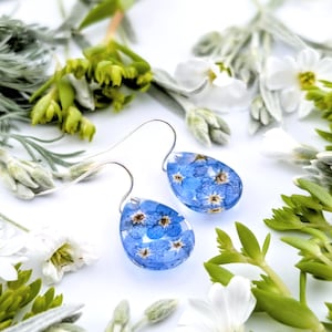 Pressed flower earrings, Resin flower, Dry flower earrings, Forget me not earrings, Handmade resin, Resin jewelry