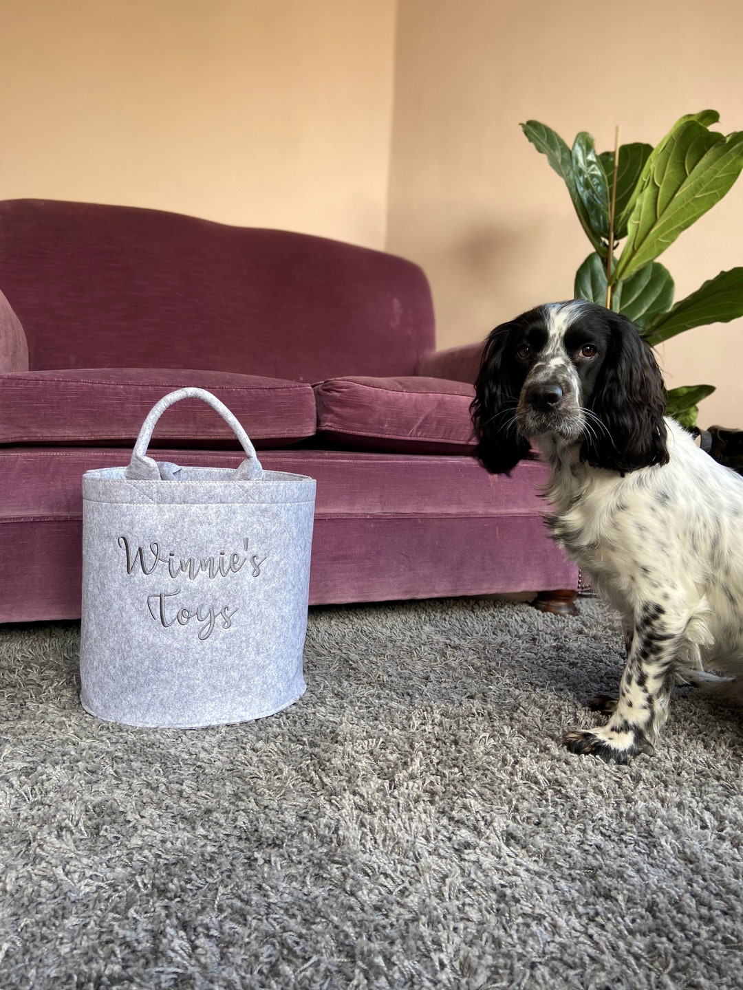 Personalised Embroidered Pet Canvas Toy Bag, Dog Toy Basket, Pet Basket