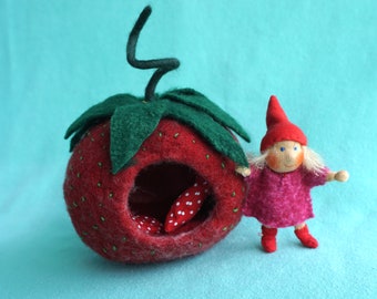 Strawberry cave with elf child
