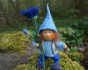 Gnome with cornflower