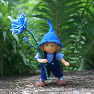 Wichtel mit Kornblume