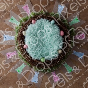 Spring Easter Egg Decor Teal Newborn Digital Backdrop Background Prop Set