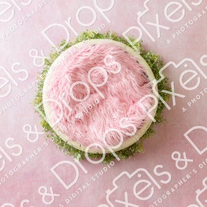 Pink Floral Newborn Digital Backdrop, Digital Backdrop for Newborn, Newborn Digital Background, PNG Baby Backdrop, Backdrop for Photoshop